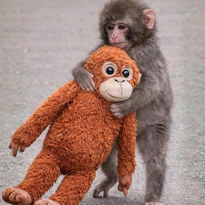 Baby Punch Monkey Toy